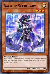 Backup Secretary (COTD-EN002)