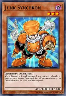 Junk Synchron (DP08-EN001)