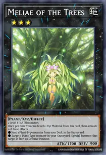 Meliae of the Trees (MP14-EN165)