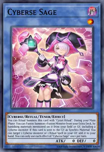 Cyberse Sage (CYAC-EN033)