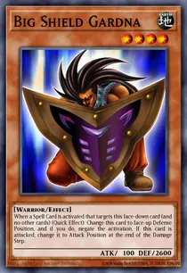 Big Shield Gardna (DB1-EN097)