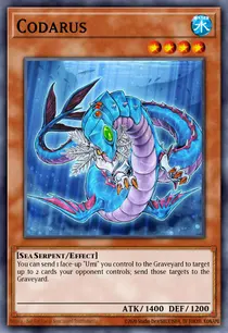 Codarus (ABPF-EN032)