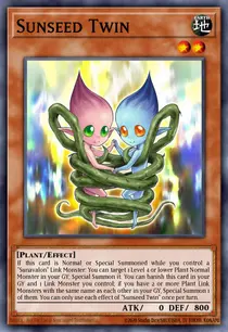 Sunseed Twin (GFTP-EN017)