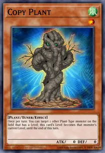 Copy Plant (AP05-EN015)
