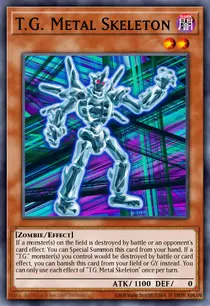 T.G. Metal Skeleton (BLC1-EN090)