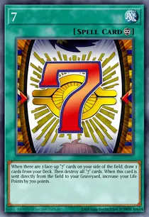 7 (DR2-EN204)