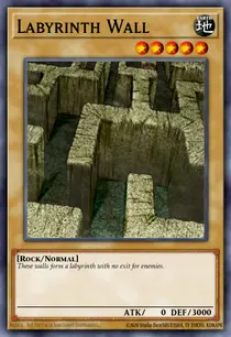 Labyrinth Wall (MRL-055)