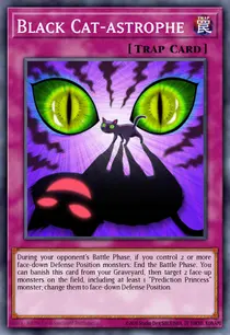 Black Cat-astrophe (DRL2-EN037)