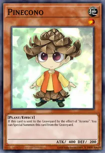 Pinecono (PHSW-EN007)