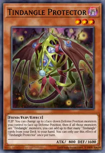 Tindangle Protector (EXFO-EN012)