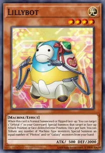 Lillybot (DRLG-EN050)