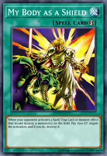 My Body as a Shield (MFC-092)