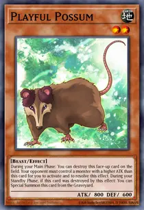 Playful Possum (DREV-EN007)