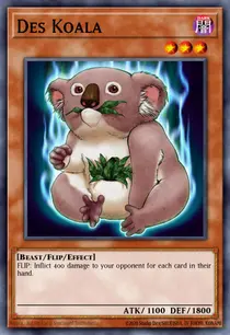 Des Koala (MFC-077)