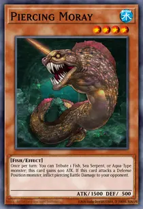 Piercing Moray (GENF-EN082)