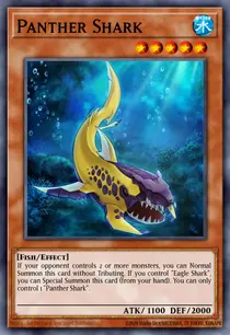 Panther Shark (LTGY-EN010)