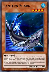 Lantern Shark (ETCO-EN018)