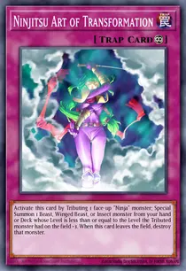 Ninjitsu Art of Transformation (SHVA-EN028)