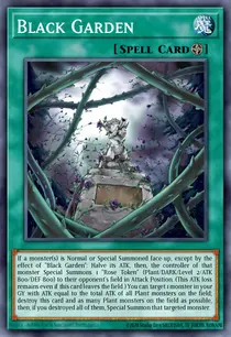 Black Garden (TU06-EN009)