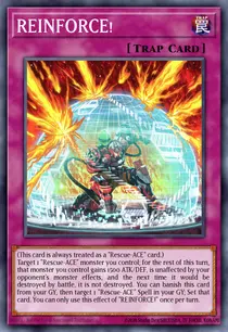 REINFORCE! (CYAC-EN075)
