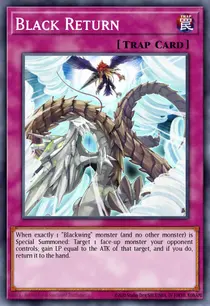 Black Return (DP11-EN030)
