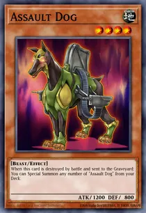 Assault Dog (DRLG-EN033)