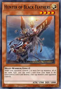 Hunter of Black Feathers (TSHD-EN038)