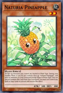 Naturia Pineapple (DREV-EN082)
