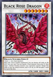 Black Rose Dragon (TN23-EN014)