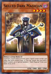 Skilled Dark Magician (MFC-065)