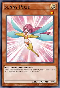 Sunny Pixie (ANPR-EN002)