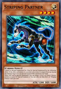 Striping Partner (EXFO-EN003)