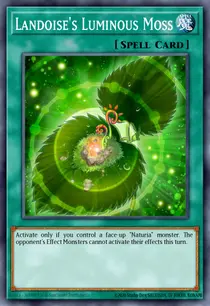 Landoise's Luminous Moss (DREV-EN052)