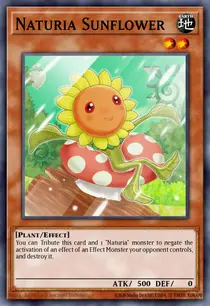Naturia Sunflower (DT03-EN018)