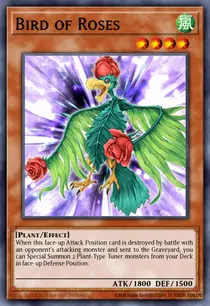 Bird of Roses (TSHD-EN018)