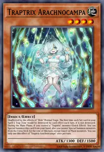 Traptrix Arachnocampa (SDBT-EN002)