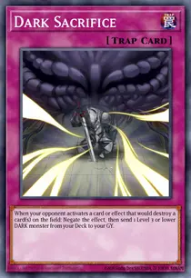 Dark Sacrifice (BLHR-EN056)