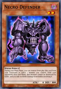 Necro Defender (EXVC-EN004)