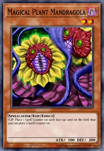 Magical Plant Mandragola (MFC-072)