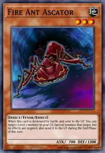 Fire Ant Ascator (SDCK-EN020)