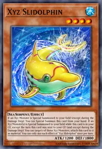 Xyz Slidolphin (DANE-EN023)