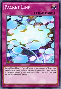 Packet Link (SDPL-EN031)