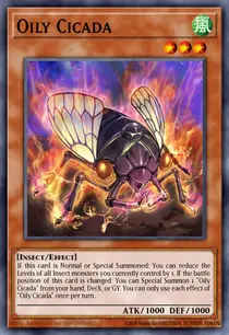 Oily Cicada (BLCR-EN027)