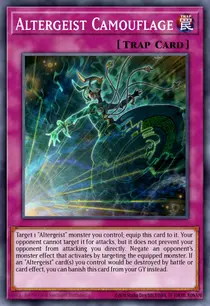 Altergeist Camouflage (CIBR-EN070)