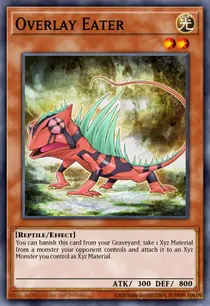 Overlay Eater (GAOV-EN007)