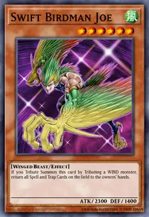 Swift Birdman Joe (DR04-EN192)