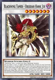 Blackwing Tamer - Obsidian Hawk Joe (PGL2-EN012)