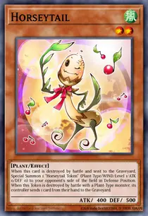 Horseytail (CSOC-EN026)