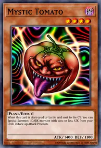 Mystic Tomato (MRL-094)