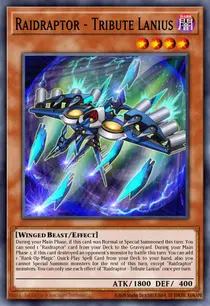 Raidraptor - Tribute Lanius (OP24-EN018)